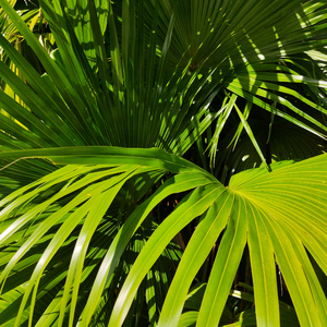 国产亲子伦XXXXX熟妇视频
